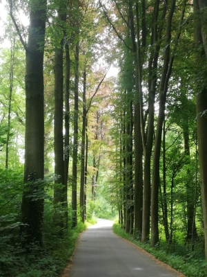 Promenade Rouge Cloître